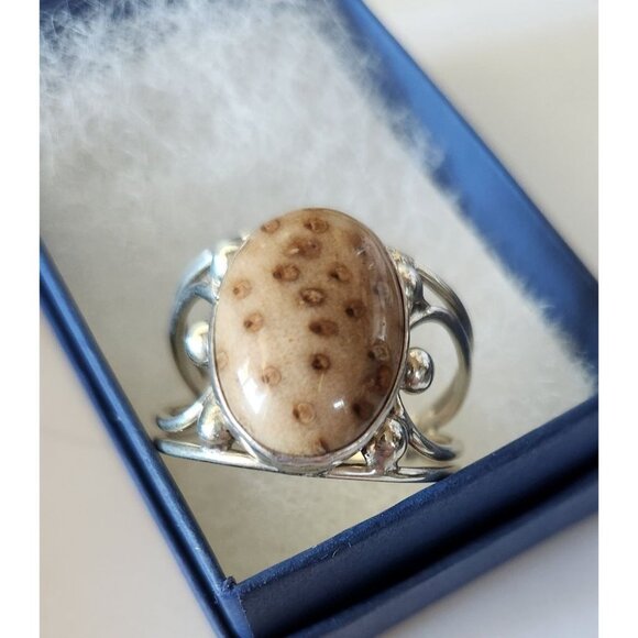 Ring Petrified Palmwood  Silver   Size 13 1/2  10 gr Stone 20 x 15 mm  Jerry Fra - Picture 5 of 14